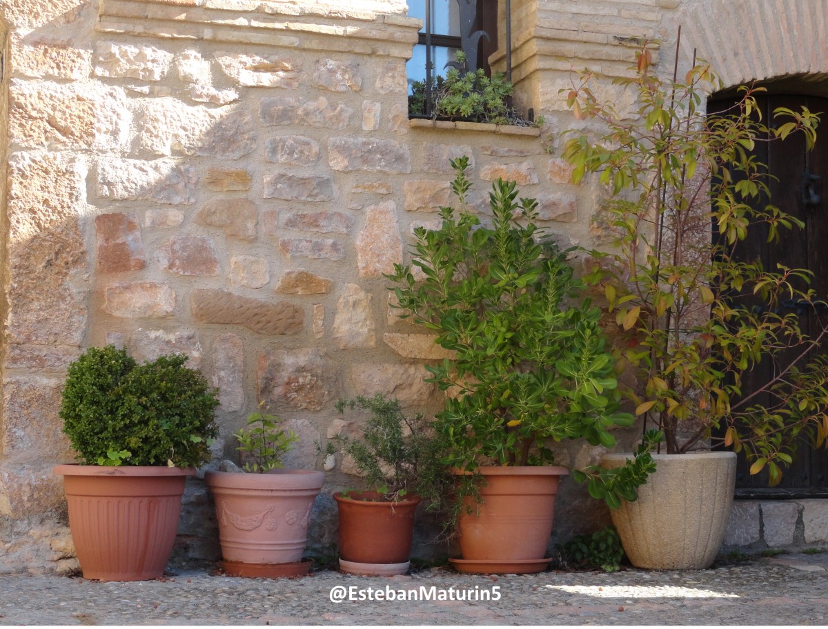 Las pasarelas de&nbsp;Alquézar